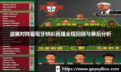 波黑对阵葡萄牙精彩直播全程回顾与赛后分析